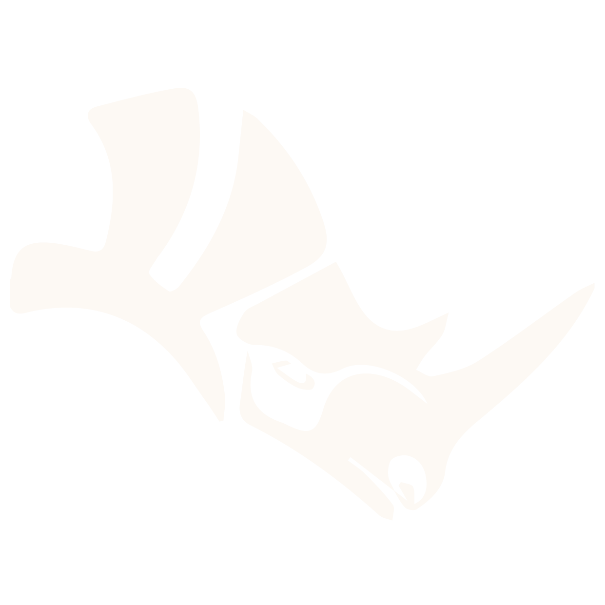 Rhinoceros